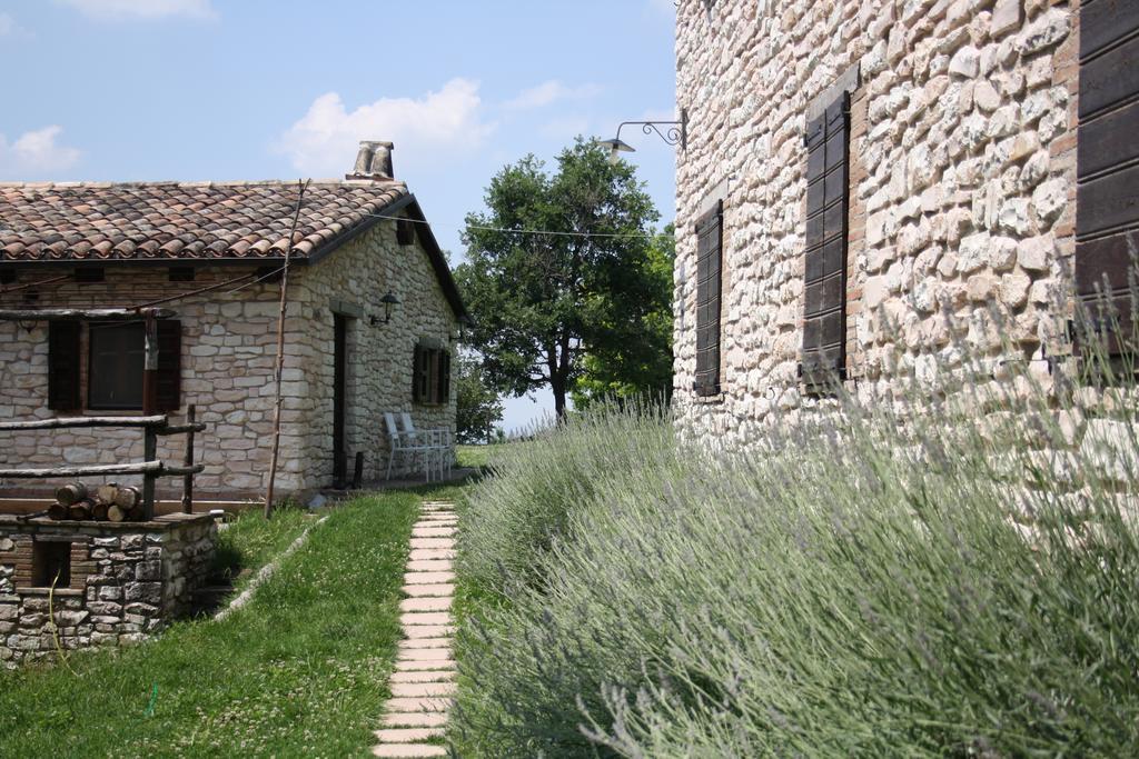 Agriturismo Valdifiori Sassoferrato Luaran gambar